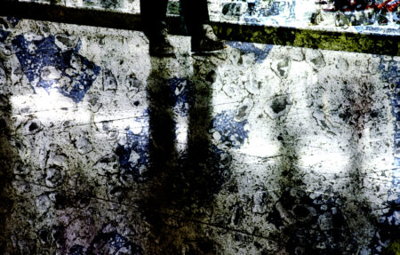 Greg Williams
